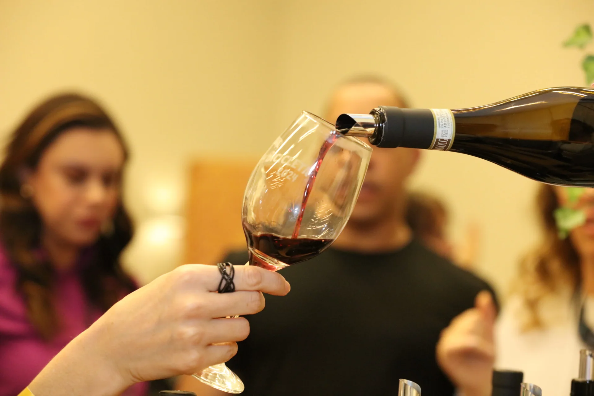 São José dos Campos recebe festival com mais de 400 rótulos de vinho em agosto